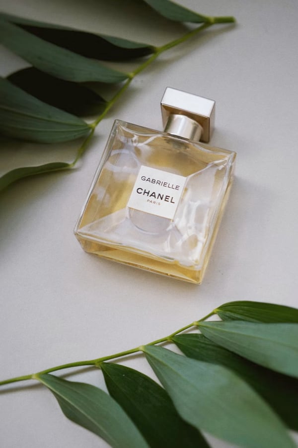 Chanel perfume bottle with some leave beside it